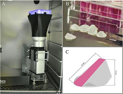 A New Non-invasive Technique for Measuring 3D-Oxygen Gradients in Wells During Mammalian Cell Culture